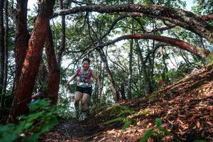 BIB: 
                            <button type="button" onclick="openModal(26345846)" class="btn btn-primary btn-sm float-right btn-popup" data-toggle="modal" data-target=".modal-high-quality">
                        <i class="fas fa-shopping-cart"></i> Add to Cart
                    </button>
                                            <button type="button" onclick="isThisMe(26345846, true)" class="btn btn-success btn-sm float-right btn-popup btn-isme hidden" data-toggle="tooltip" data-placement="bottom" title="นี่คือรูปของคุณใช่ไหม คลิกที่นี่เพื่อเอาเข้าอัลบั้ม">
                        <i class="fas fa-plus"></i> Add to album
                    </button>
                    <button type="button" onclick="isThisMe(26345846, false)" class="btn btn-warning btn-sm float-right btn-popup btn-isnotme hidden">
                        <i class="fas fa-ban"></i> Remove from album
                    </button>